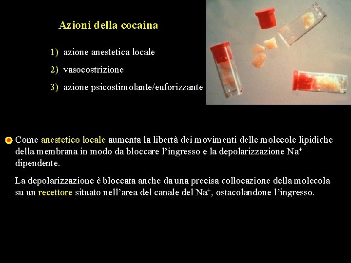 Azioni della cocaina 1) azione anestetica locale 2) vasocostrizione 3) azione psicostimolante/euforizzante Come anestetico