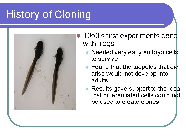 History of Cloning l 1950’s first experiments done with frogs. l l l Needed