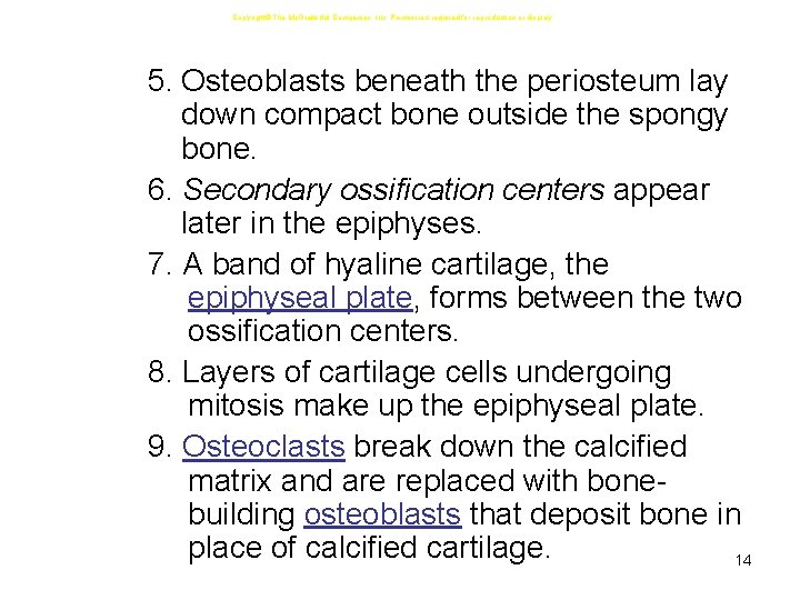 Copyright The Mc. Graw-Hill Companies, Inc. Permission required for reproduction or display. 5. Osteoblasts