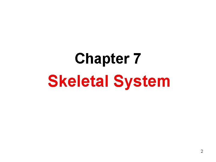 Chapter 7 Skeletal System 2 