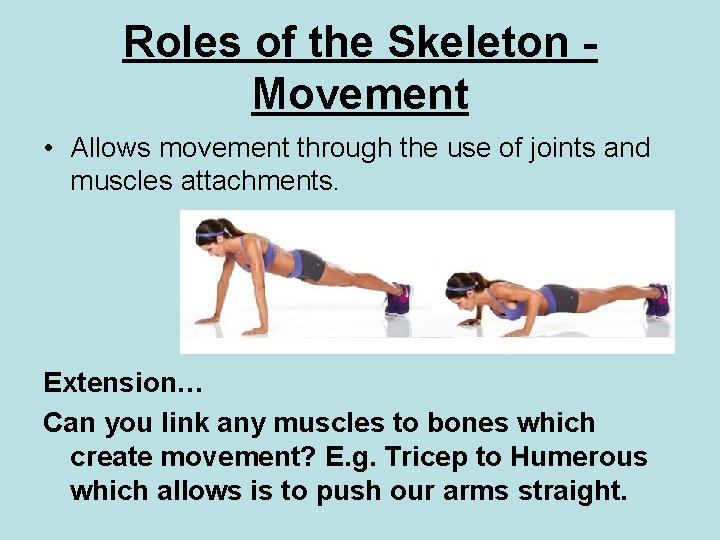 Roles of the Skeleton Movement • Allows movement through the use of joints and Roles of the Skeleton Movement • Allows movement through the use of joints and