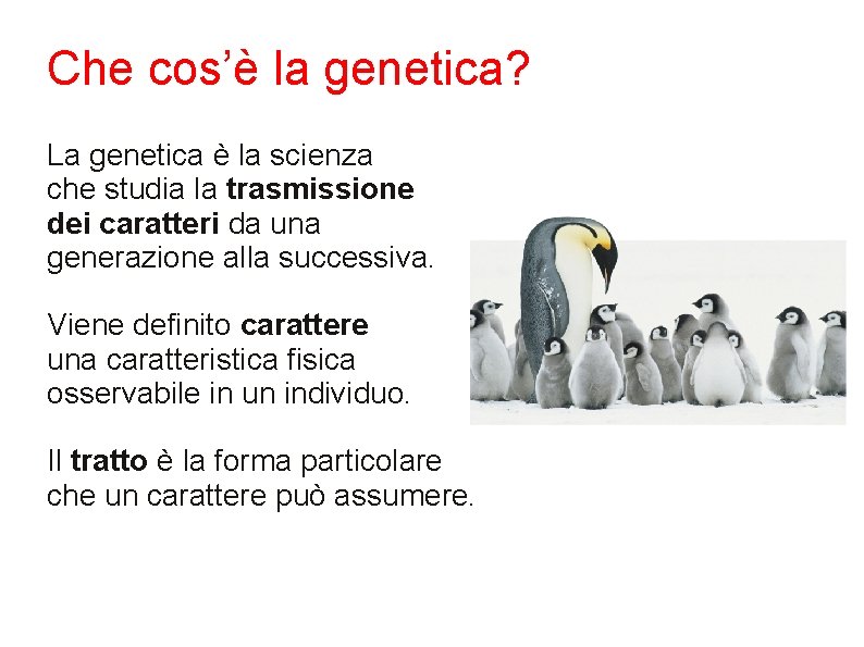 Che cos’è la genetica? La genetica è la scienza che studia la trasmissione dei