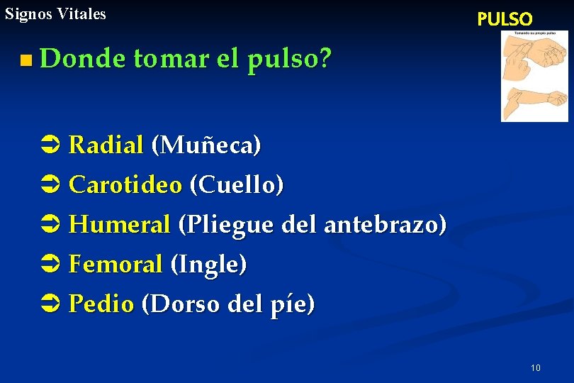 Signos Vitales PULSO n Donde tomar el pulso? Ü Radial (Muñeca) Ü Carotideo (Cuello)