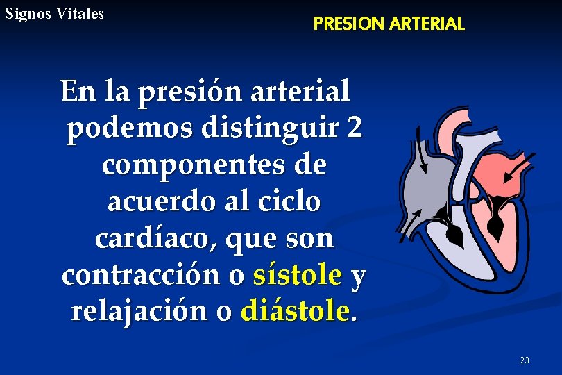 Signos Vitales PRESION ARTERIAL En la presión arterial podemos distinguir 2 componentes de acuerdo