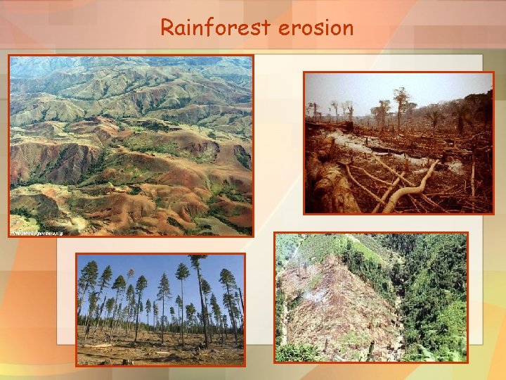 Rainforest erosion 
