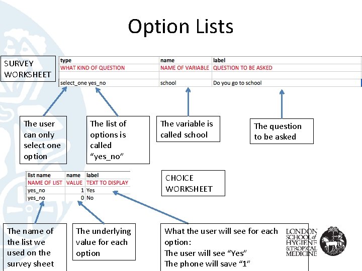 Option Lists SURVEY WORKSHEET The user can only select one option The list of