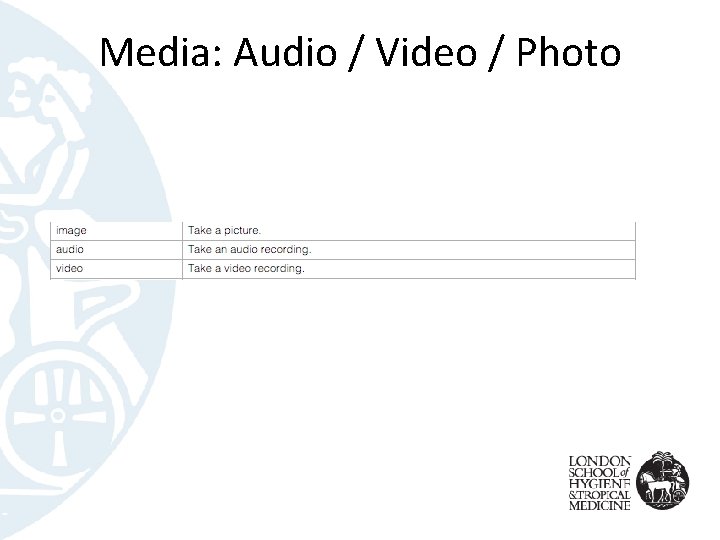 Media: Audio / Video / Photo 