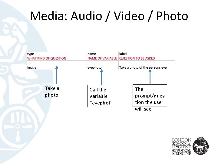 Media: Audio / Video / Photo Take a photo Call the variable “eyephot” The