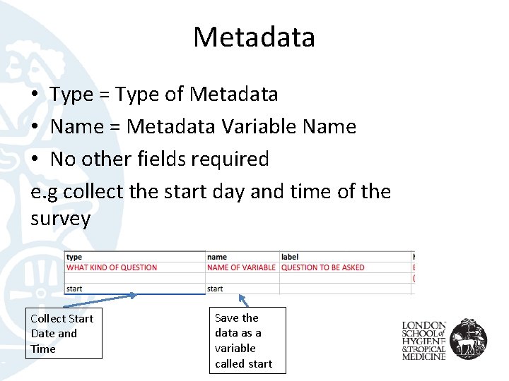 Metadata • Type = Type of Metadata • Name = Metadata Variable Name •