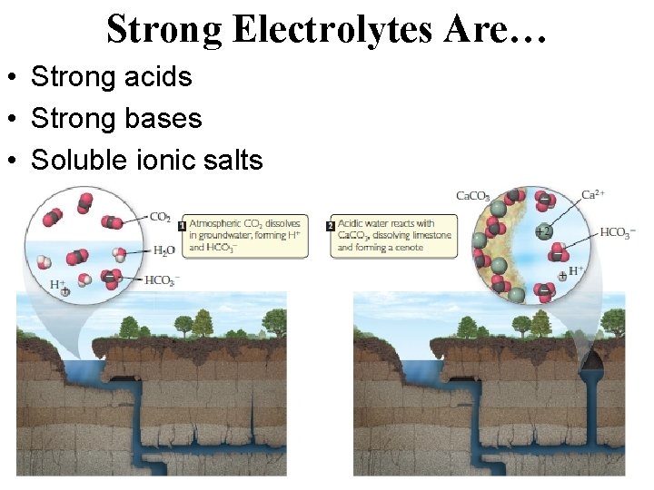 Strong Electrolytes Are… • Strong acids • Strong bases • Soluble ionic salts 