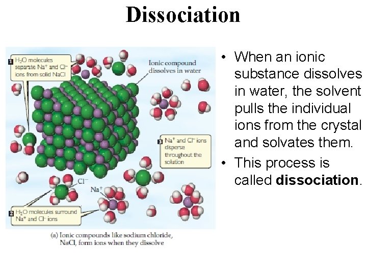 Dissociation • When an ionic substance dissolves in water, the solvent pulls the individual