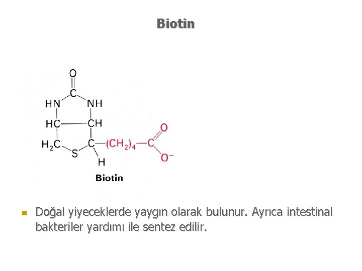 Biotin n Doğal yiyeceklerde yaygın olarak bulunur. Ayrıca intestinal bakteriler yardımı ile sentez edilir.
