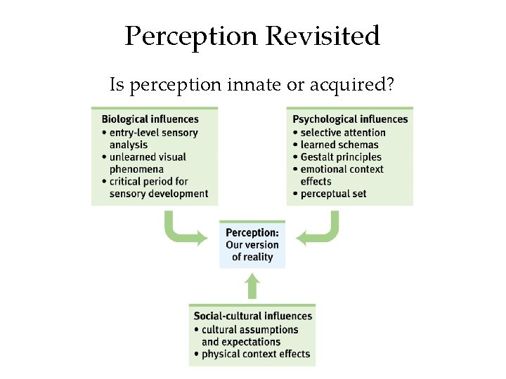 Perception Revisited Is perception innate or acquired? 