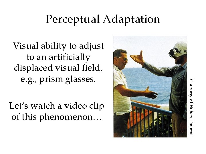 Perceptual Adaptation Let’s watch a video clip of this phenomenon… Courtesy of Hubert Dolezal