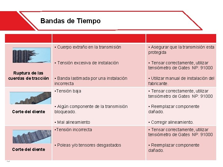 Bandas de Tiempo Problema Ruptura de las cuerdas de tracción Corte del diente 13 Bandas de Tiempo Problema Ruptura de las cuerdas de tracción Corte del diente 13