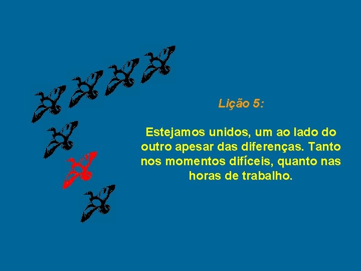 Lição 5: Estejamos unidos, um ao lado do outro apesar das diferenças. Tanto nos