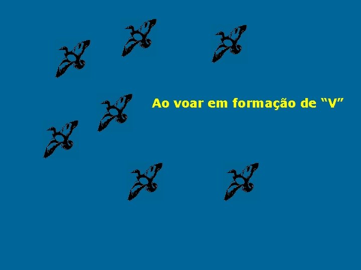 Ao voar em formação de “V” 