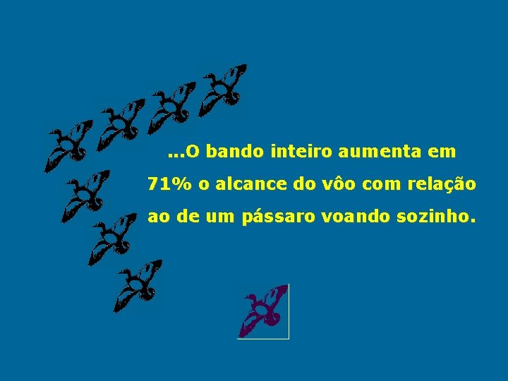 . . . O bando inteiro aumenta em 71% o alcance do vôo com