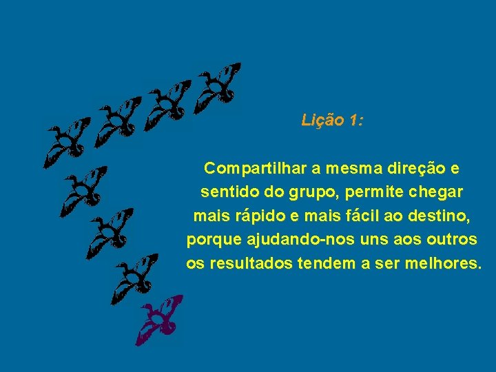 Lição 1: Compartilhar a mesma direção e sentido do grupo, permite chegar mais rápido