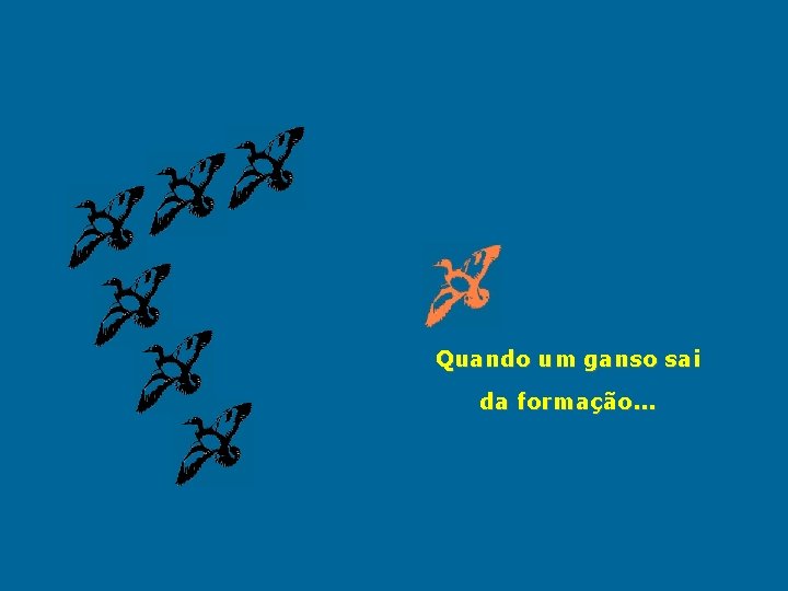 Quando um ganso sai da formação. . . 