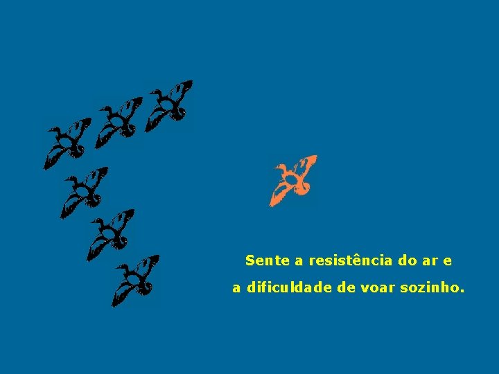 Sente a resistência do ar e a dificuldade de voar sozinho. 