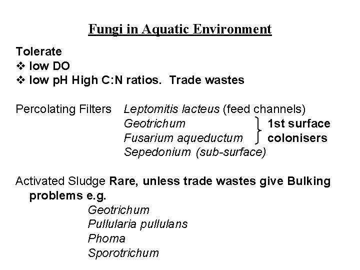 Fungi in Aquatic Environment Tolerate v low DO v low p. H High C: