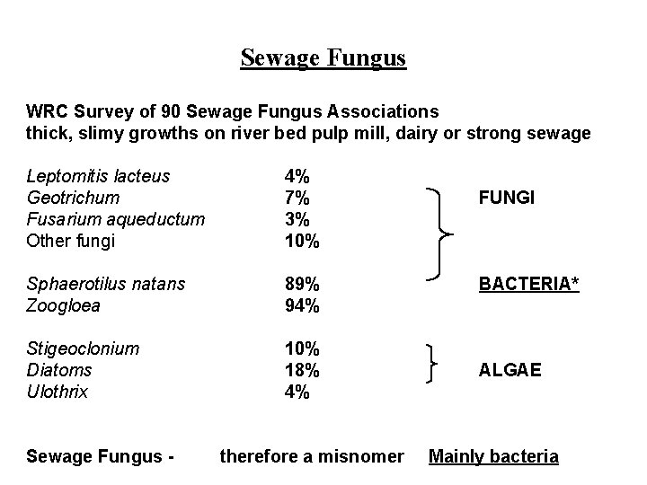 Sewage Fungus WRC Survey of 90 Sewage Fungus Associations thick, slimy growths on river