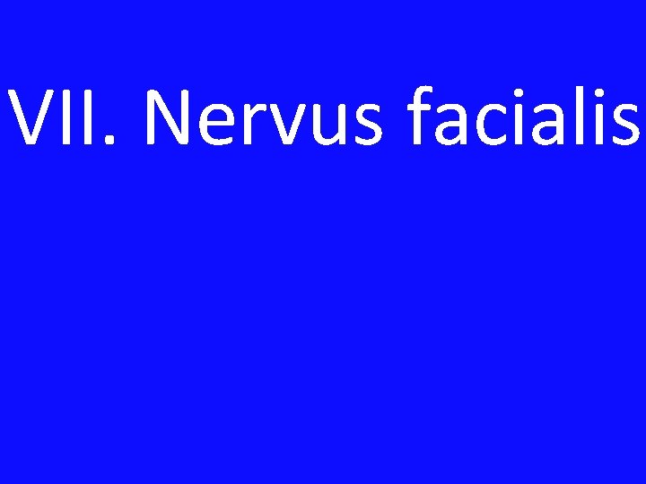 VII. Nervus facialis 