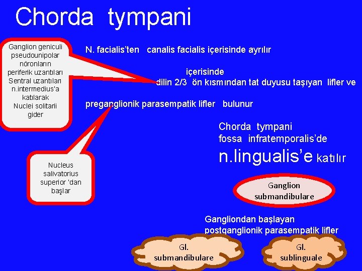 Chorda tympani Ganglion geniculi pseudounipolar nöronların periferik uzantıları Sentral uzantıları n. intermedius’a katılarak Nuclei