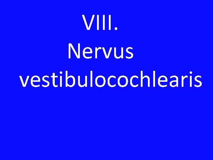 VIII. Nervus vestibulocochlearis 