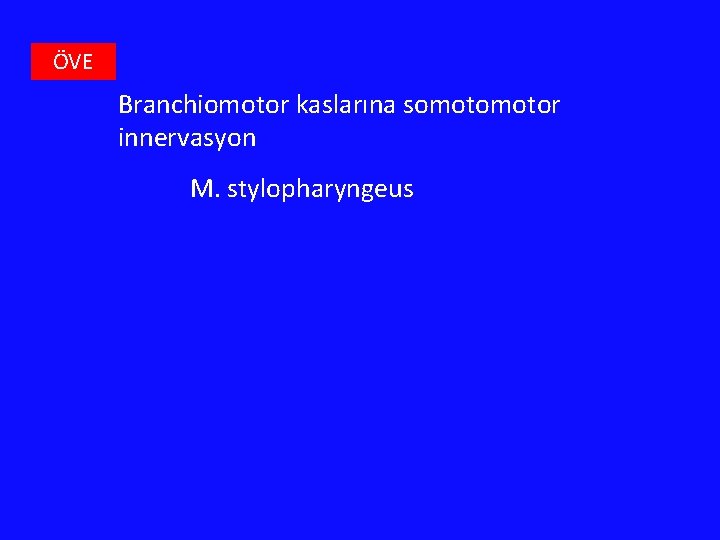 ÖVE Branchiomotor kaslarına somotor innervasyon M. stylopharyngeus 