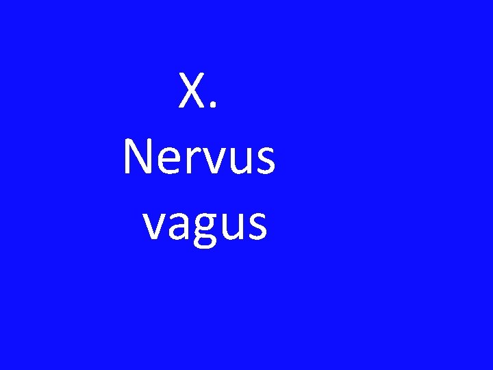 X. Nervus vagus 