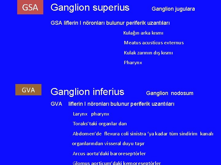 GSA Ganglion superius Ganglion jugulara GSA liflerin I nöronları bulunur periferik uzantıları Kulağın arka