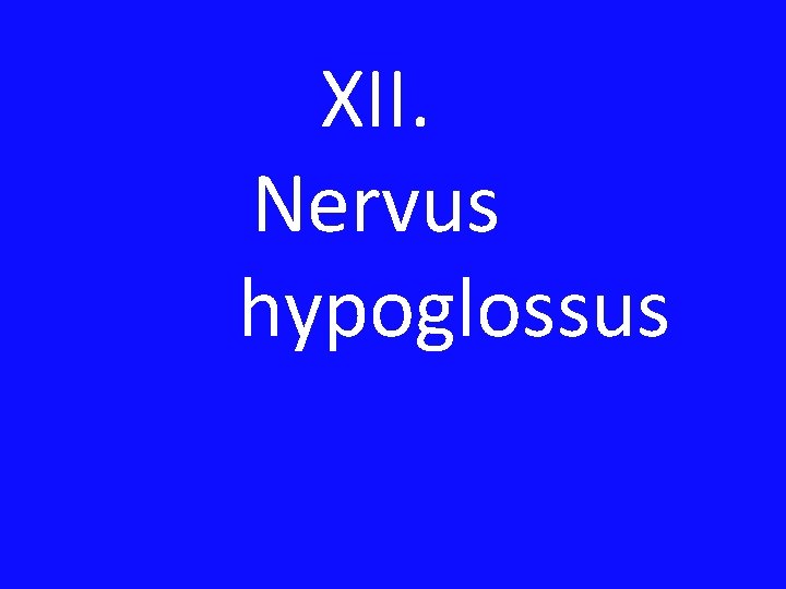 XII. Nervus hypoglossus 