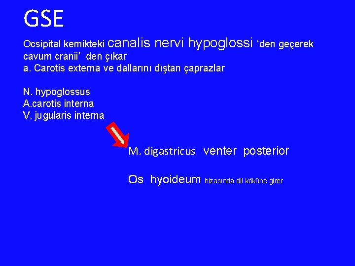 GSE Ocsipital kemikteki canalis nervi hypoglossi ‘den geçerek cavum cranii’ den çıkar a. Carotis