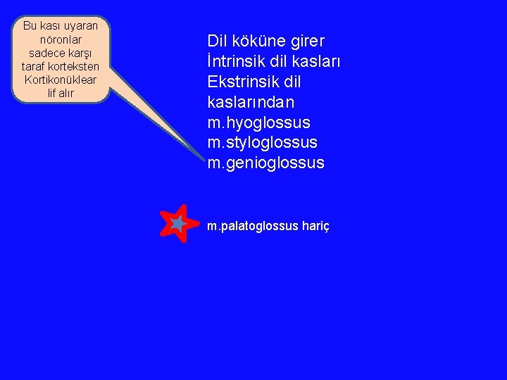 Bu kası uyaran nöronlar sadece karşı taraf korteksten Kortikonüklear lif alır Dil köküne girer Bu kası uyaran nöronlar sadece karşı taraf korteksten Kortikonüklear lif alır Dil köküne girer