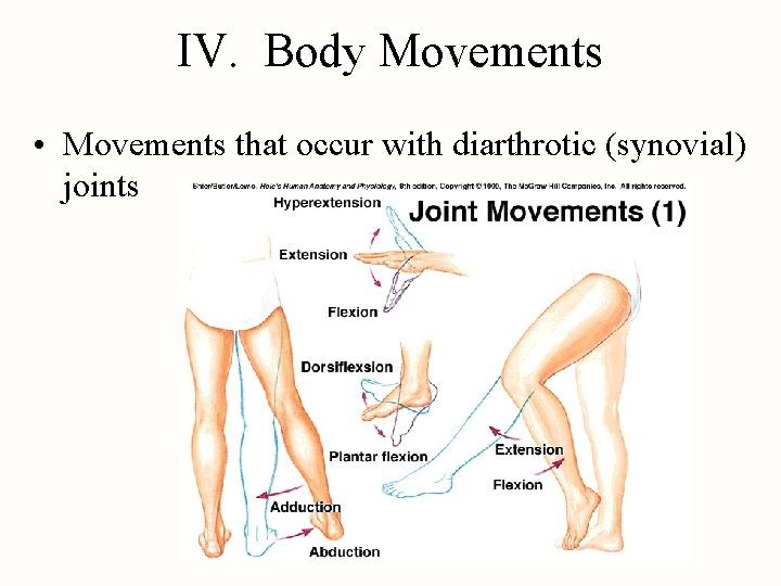 IV. Body Movements • Movements that occur with diarthrotic (synovial) joints 