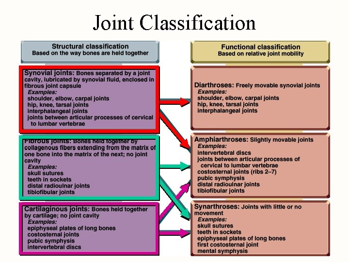 Joint Classification 