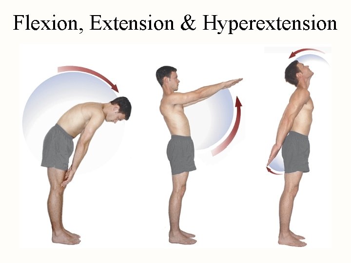 Flexion, Extension & Hyperextension 