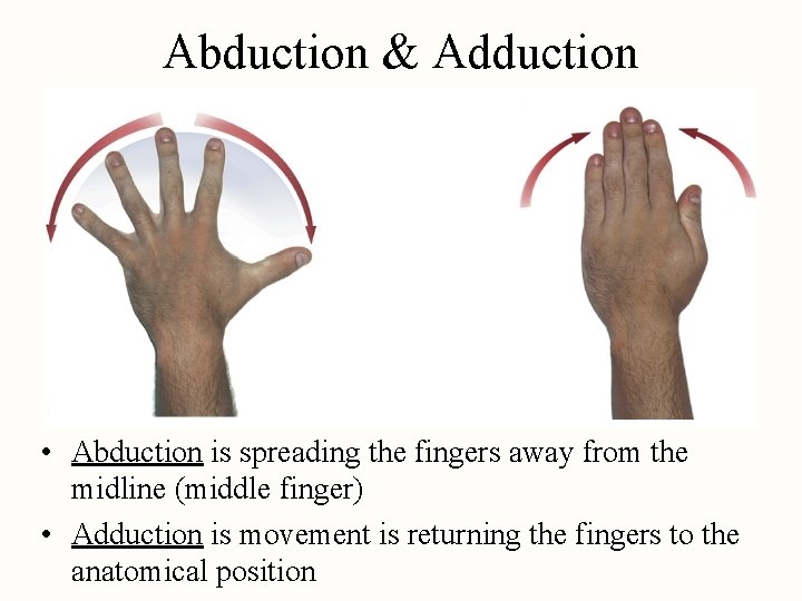 Abduction & Adduction • Abduction is spreading the fingers away from the midline (middle