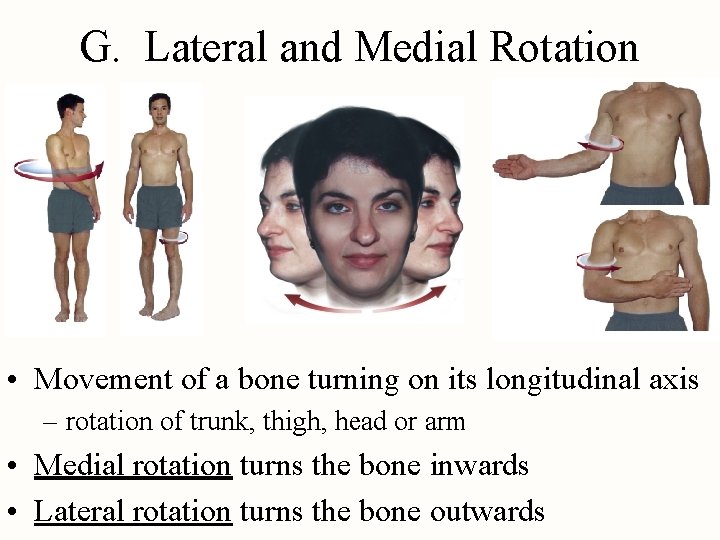 G. Lateral and Medial Rotation • Movement of a bone turning on its longitudinal