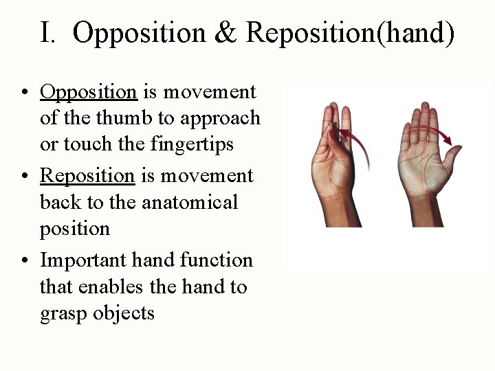 I. Opposition & Reposition(hand) • Opposition is movement of the thumb to approach or