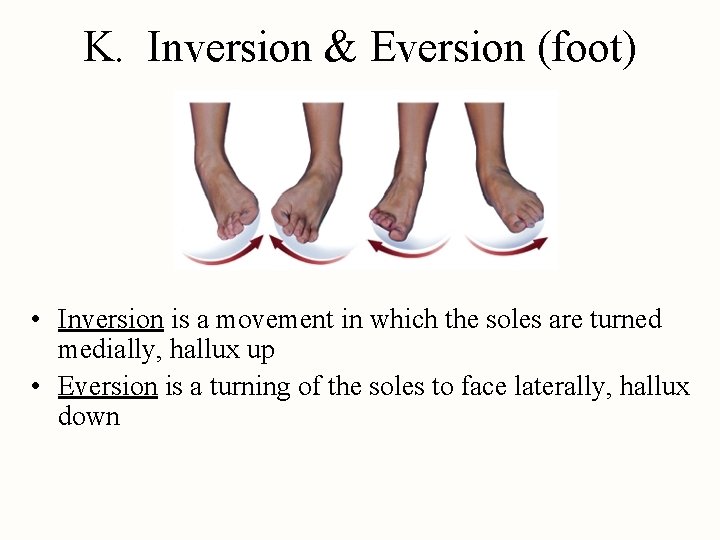 K. Inversion & Eversion (foot) • Inversion is a movement in which the soles