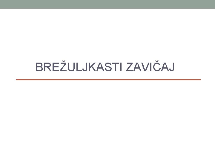 BREŽULJKASTI ZAVIČAJ 