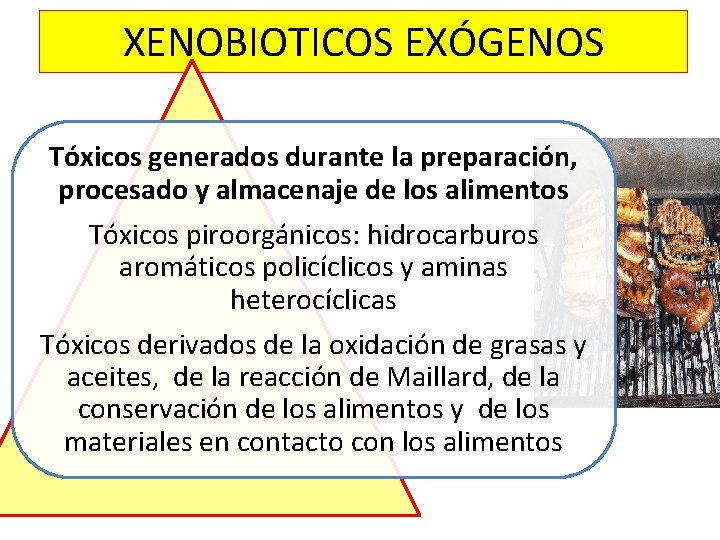 XENOBIOTICOS EXÓGENOS Tóxicos generados durante la preparación, procesado y almacenaje de los alimentos Tóxicos XENOBIOTICOS EXÓGENOS Tóxicos generados durante la preparación, procesado y almacenaje de los alimentos Tóxicos