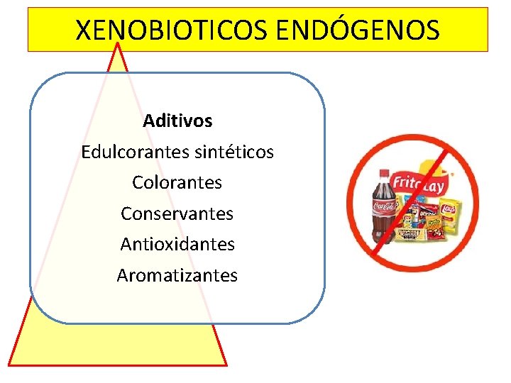 XENOBIOTICOS ENDÓGENOS Aditivos Edulcorantes sintéticos Colorantes Conservantes Antioxidantes Aromatizantes XENOBIOTICOS ENDÓGENOS Aditivos Edulcorantes sintéticos Colorantes Conservantes Antioxidantes Aromatizantes