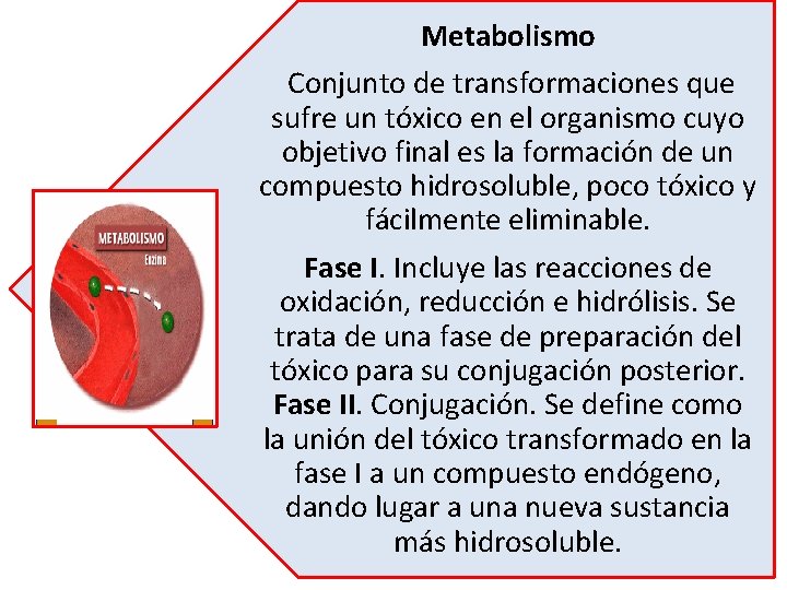 Metabolismo Conjunto de transformaciones que sufre un tóxico en el organismo cuyo objetivo final Metabolismo Conjunto de transformaciones que sufre un tóxico en el organismo cuyo objetivo final