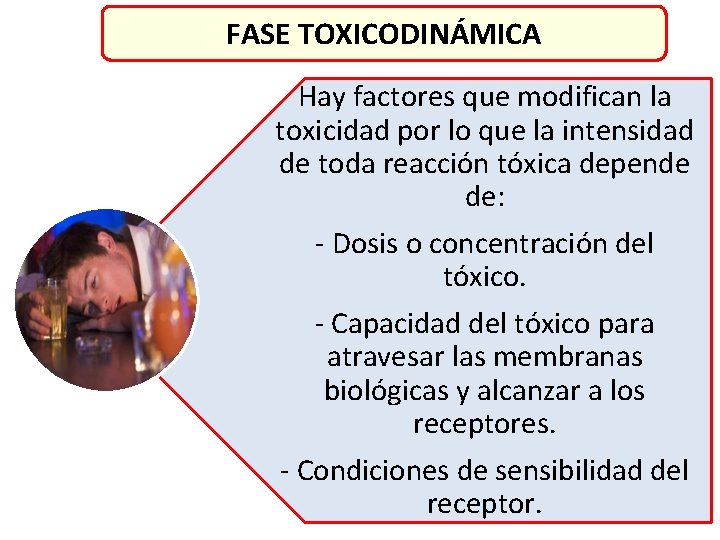 FASE TOXICODINÁMICA Hay factores que modifican la toxicidad por lo que la intensidad de FASE TOXICODINÁMICA Hay factores que modifican la toxicidad por lo que la intensidad de