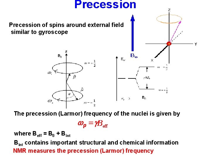 Precession of spins around external field similar to gyroscope The precession (Larmor) frequency of
