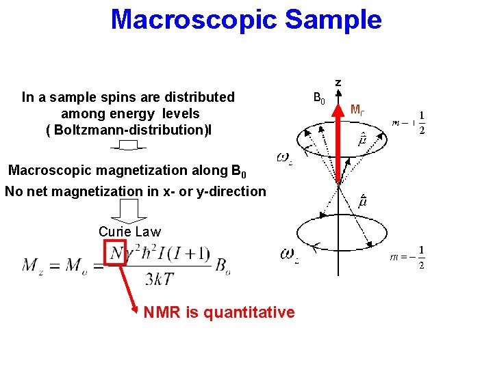 Macroscopic Sample In a sample spins are distributed among energy levels ( Boltzmann-distribution)l Macroscopic